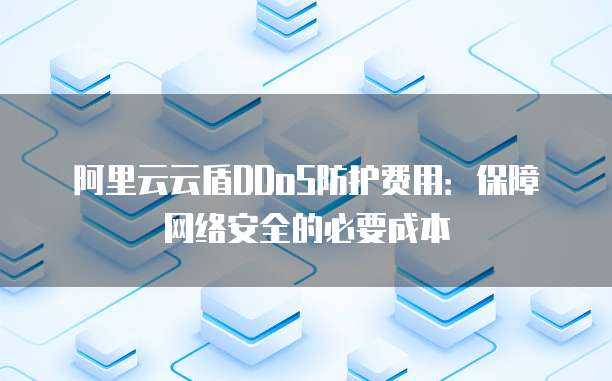 阿里云云盾DDoS防护费用：保障网络安全的必要成本