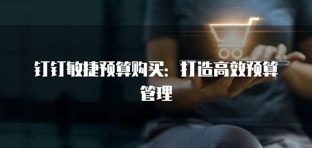钉钉敏捷预算购买：打造高效预算管理