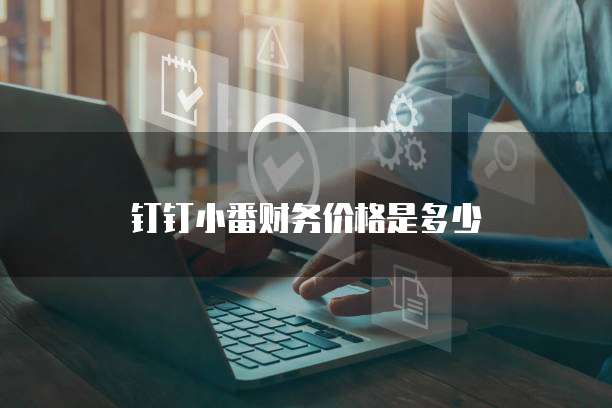 钉钉小番财务价格是多少