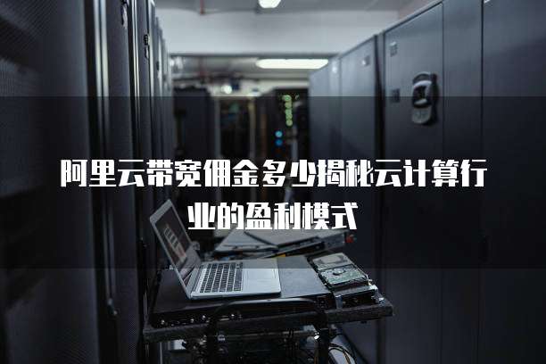 阿里云带宽佣金多少揭秘云计算行业的盈利模式