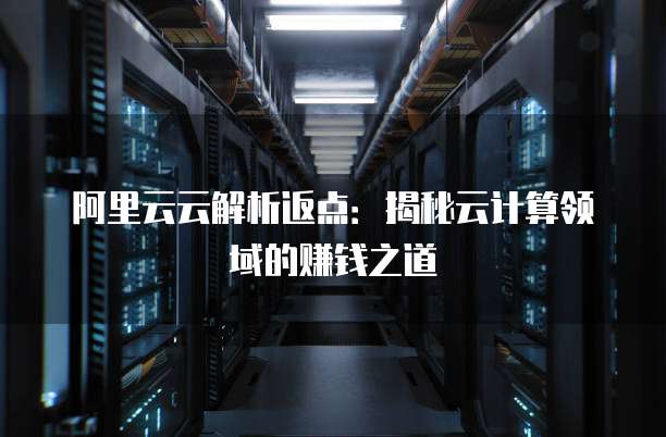 阿里云云解析返点:揭秘云计算领域的赚钱之道