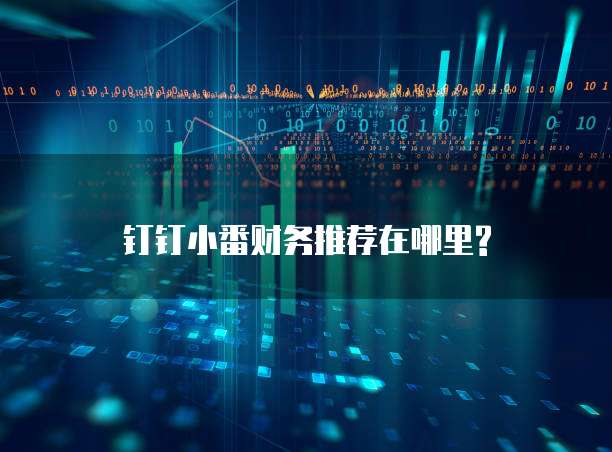 钉钉小番财务推荐在哪里?