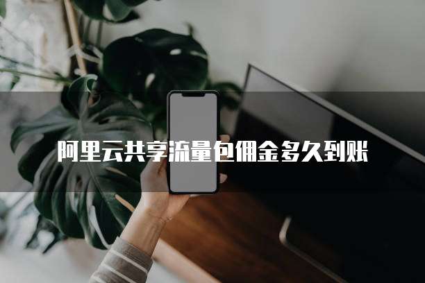 阿里云共享流量包佣金多久到账