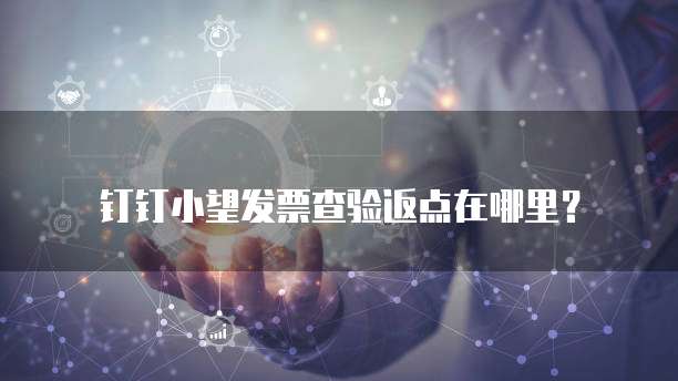 钉钉小望发票查验返点在哪里?