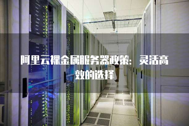 阿里云裸金属服务器政策:灵活高效的选择