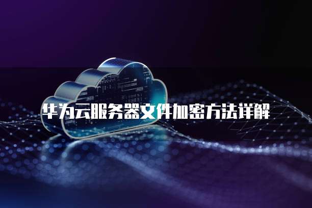 阿里云服务器如何设置中文访问Google？
