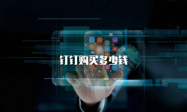 钉钉购买多少钱