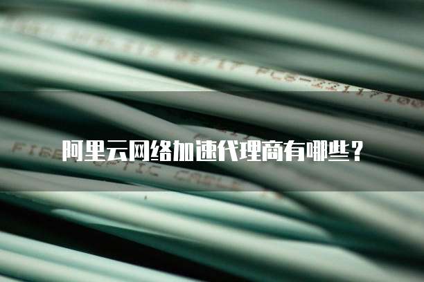 阿里云网络加速代理商有哪些?
