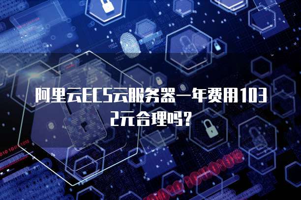 阿里云服务器提供公网服务是什么意思啊