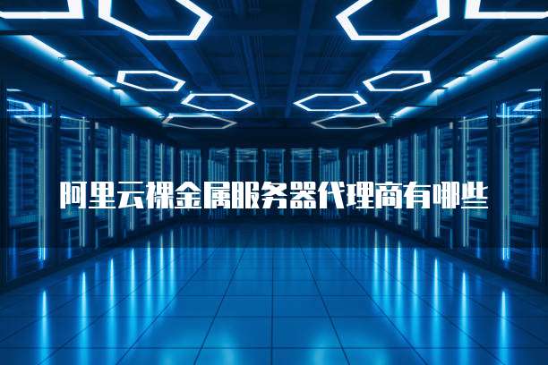 阿里云裸金属服务器代理商有哪些