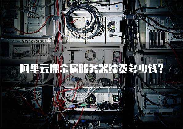阿里云裸金属服务器续费多少钱？