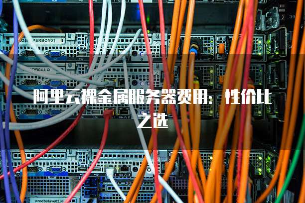 阿里云裸金属服务器费用:性价比之选
