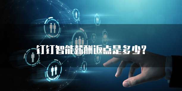 钉钉智能薪酬返点是多少?