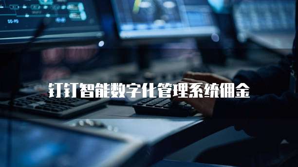 钉钉智能数字化管理系统佣金