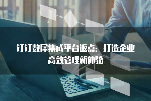 钉钉数犀集成平台返点：打造企业高效管理新体验