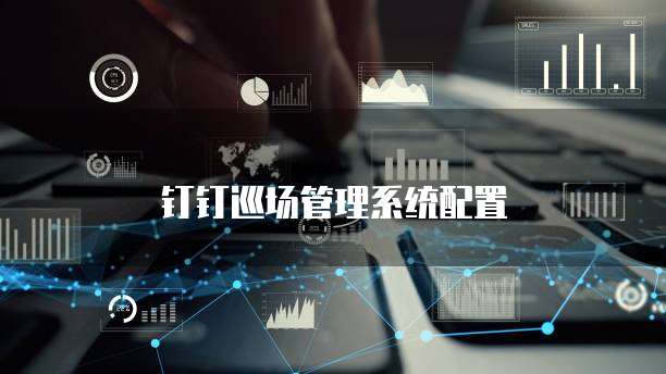 钉钉巡场管理系统配置