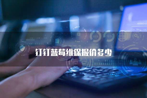 钉钉蓝莓维保报价多少