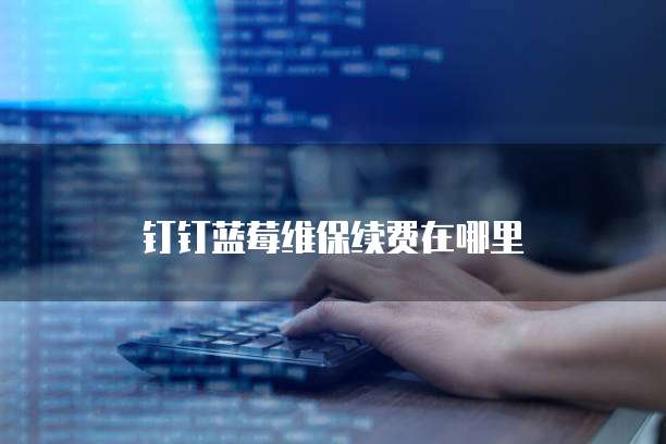 钉钉蓝莓维保续费在哪里