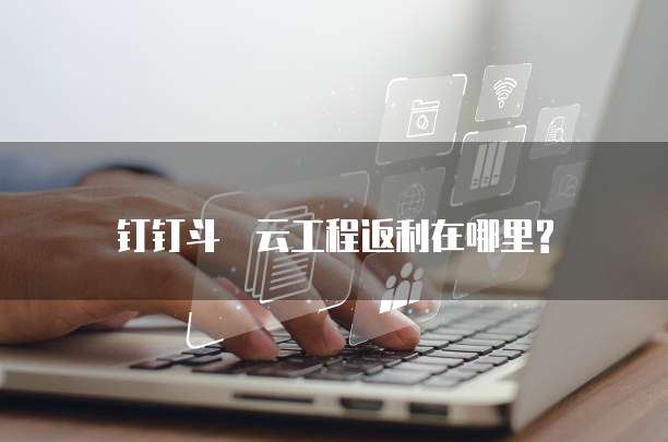 钉钉斗栃云工程返利在哪里?
