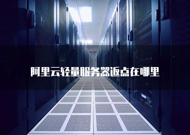 阿里云轻量服务器返点在哪里