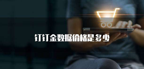 钉钉金数据价格是多少