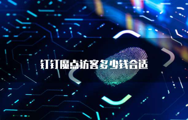 钉钉魔点访客多少钱合适
