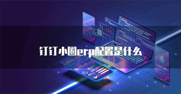 钉钉小圈erp配置是什么