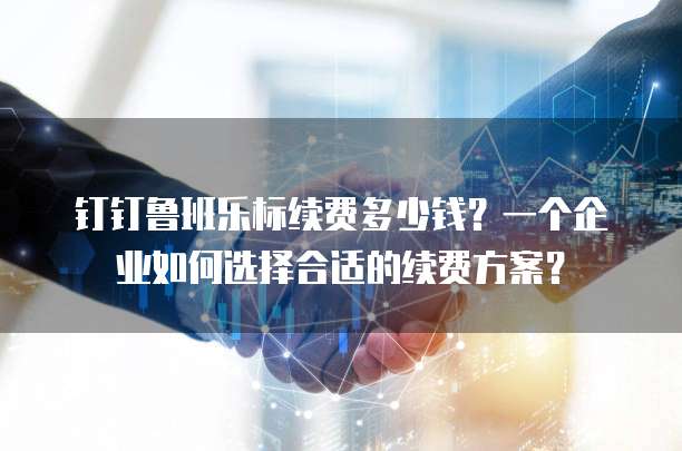 钉钉鲁班乐标续费多少钱?一个企业如何选择合适的续费方案?