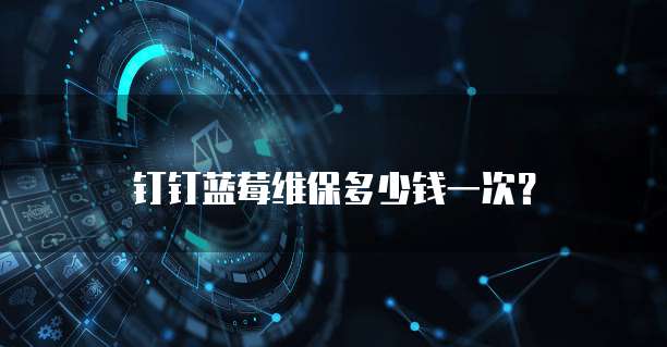 钉钉蓝莓维保多少钱一次?