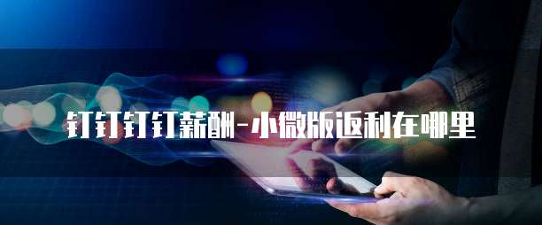 钉钉钉钉薪酬-小微版返利在哪里