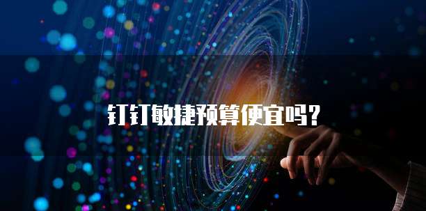 钉钉敏捷预算便宜吗？
