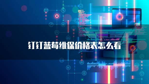 钉钉蓝莓维保价格表怎么看