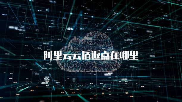 阿里云云盾返点在哪里