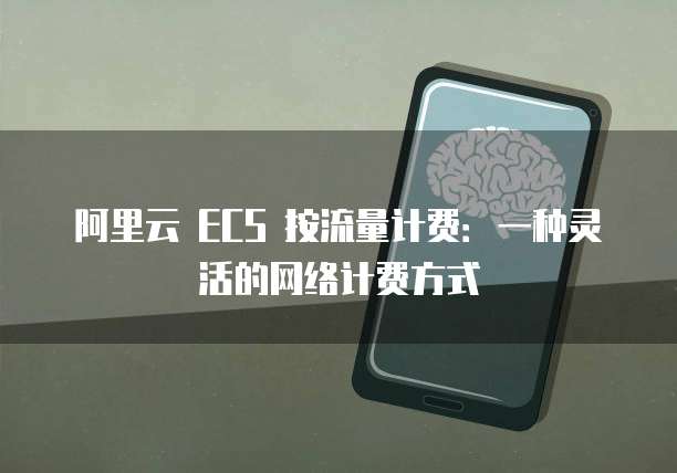 阿里云 ECS 按流量计费：一种灵活的网络计费方式