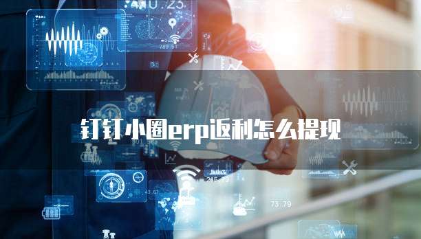 钉钉小圈erp返利怎么提现