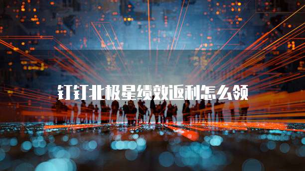 钉钉北极星绩效返利怎么领