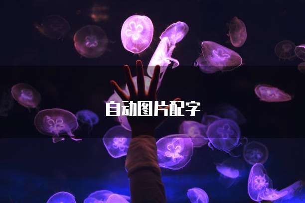 阿里云独享IP了解分多少IP以及优势