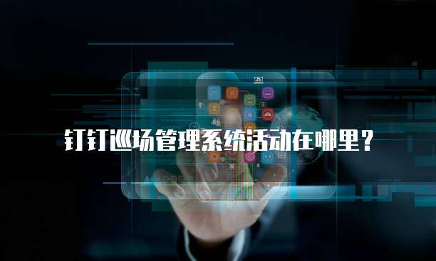 钉钉巡场管理系统活动在哪里？