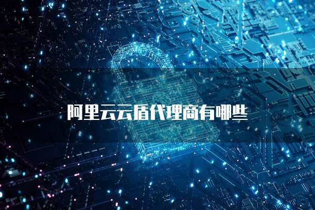 阿里云云盾代理商有哪些