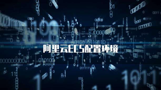 阿里云ECS配置环境