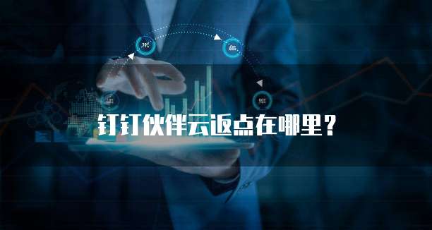 钉钉伙伴云返点在哪里?
