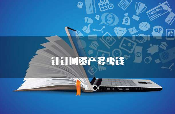 钉钉圆资产多少钱