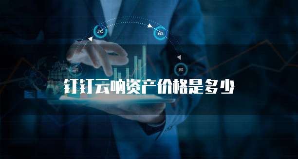 钉钉云呐资产价格是多少