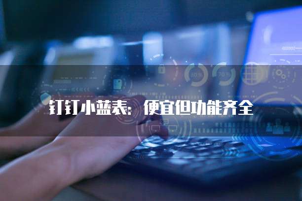 钉钉小蓝表:便宜但功能齐全
