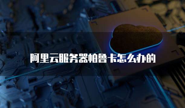 阿里云服务器帕鲁卡怎么办的