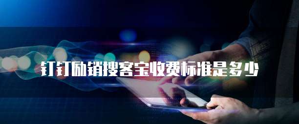 钉钉励销搜客宝收费标准是多少
