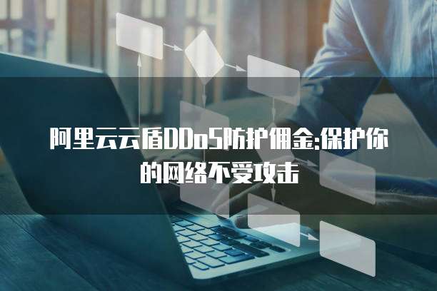 阿里云云盾DDoS防护佣金:保护你的网络不受攻击