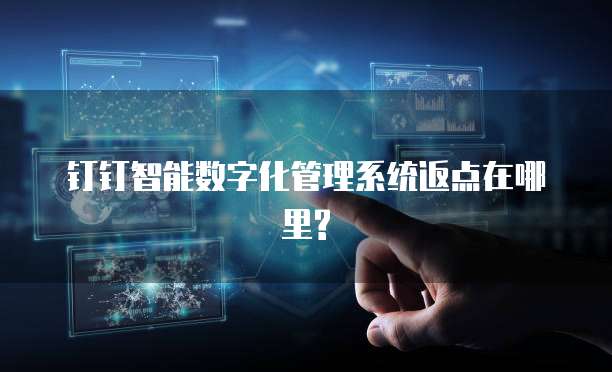 钉钉智能数字化管理系统返点在哪里?