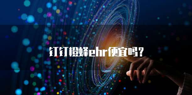 钉钉橙蜂ehr便宜吗？