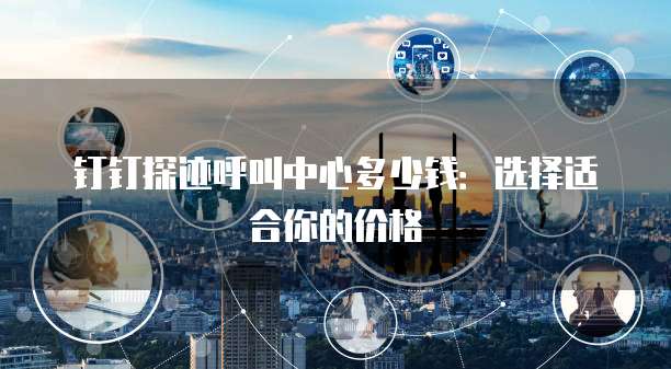钉钉探迹呼叫中心多少钱:选择适合你的价格